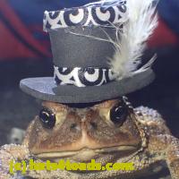/home//u458753944/public_html/sourcegallery//Roxborough Toad Detour/2013-2019/2019/55920819_10218870458581431_1448144740351475712_n.jpg